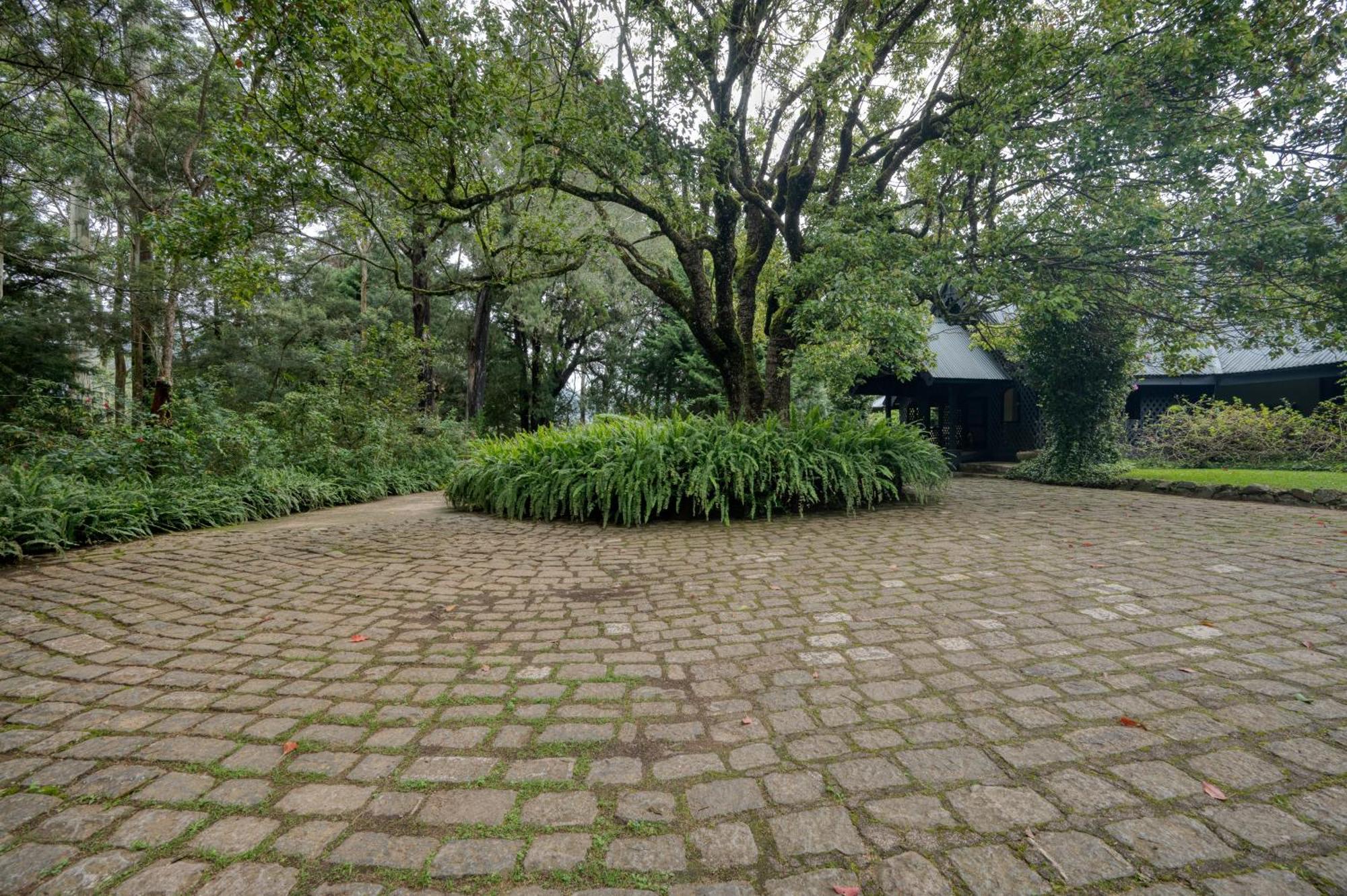 Ferncliff Bungalow Nuwara Eliya Exteriér fotografie